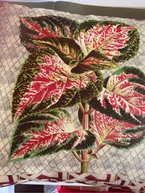 John Derian Designers Guild Botanical Print Cushions/ pillows - set of 2 New